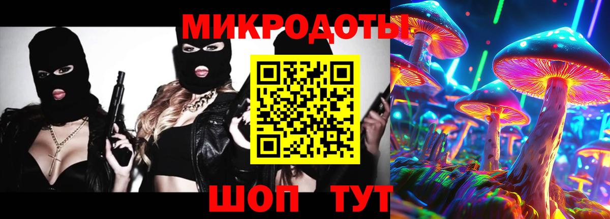 Псилоцибиновые грибы GOLDEN TEACHER  Псилоцибиновые грибы ЛСД  закладки  Вход с VPN  Ставрополь 